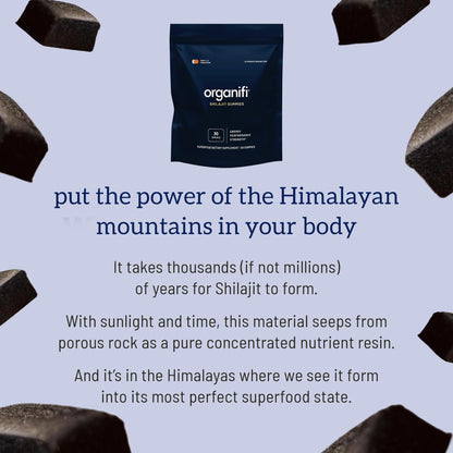 Organifi - Shilajit Gummies - Supports Natural Energy and Strength - Vanilla Cinnamon - Maple Wellness Supplements