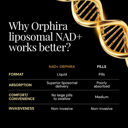 Orphira Liquid Liposomal NAD+ Supplement - 10x Better Absorption for Cellular Energy, Mental Clarity, Healthy Aging & Vitality Support - Enhanced NAD Plus, Vegan, Non-GMO - 30 Servings (4 fl oz) - Maple Wellness Supplements