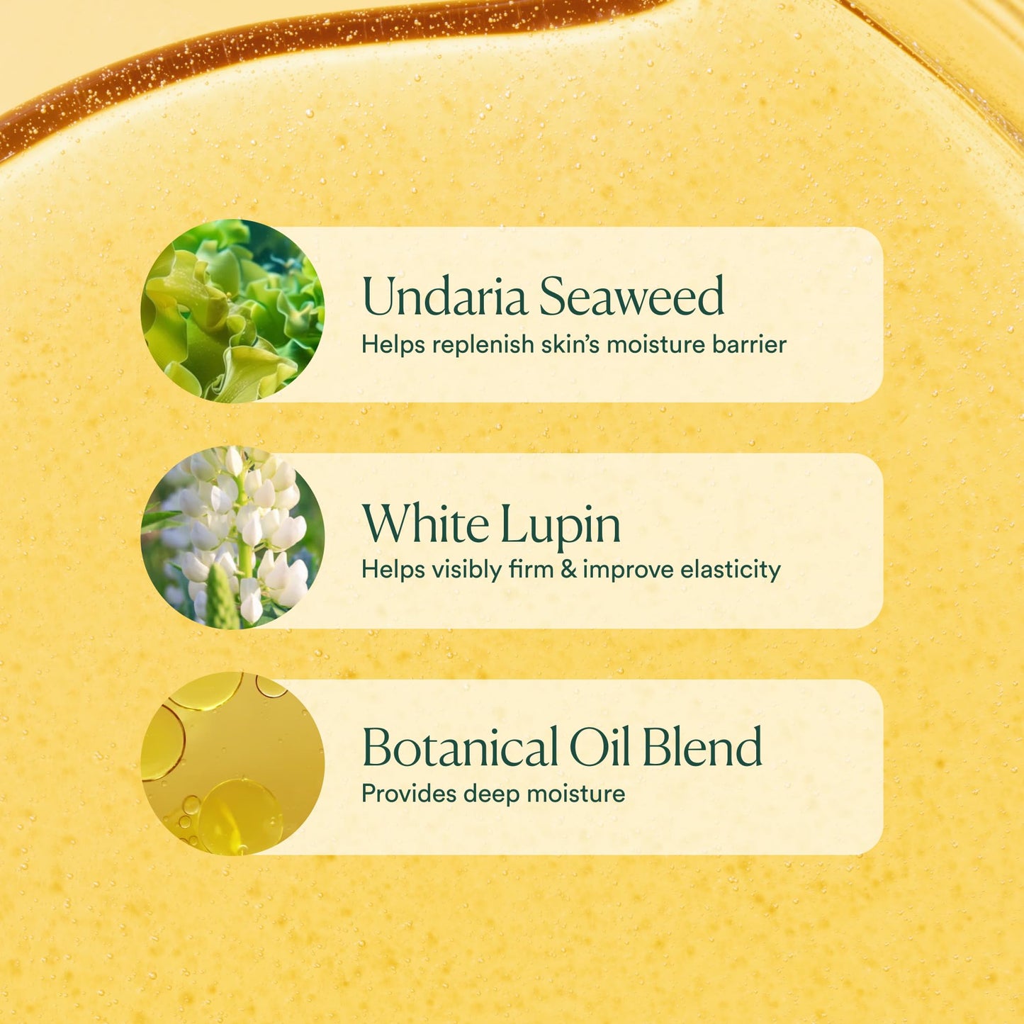 OSEA Undaria Algae Body Oil 5 oz – Visibly Firming, Deeply Moisturizing, Instantly Improve Elasticity - Maple Wellness Supplements