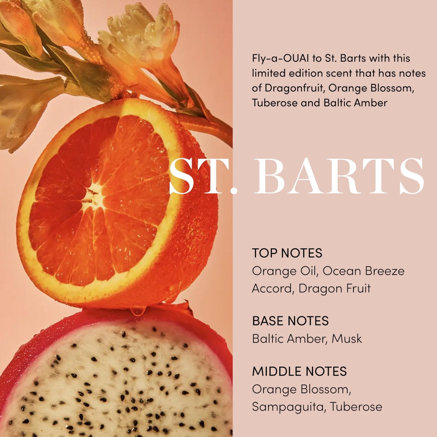 OUAI Body Cleanser, St. Barts - Foaming Body Wash with Jojoba Oil and Rosehip Oil to Hydrate, Nurture, Balance and Soften Skin - Paraben - Maple Wellness Supplements