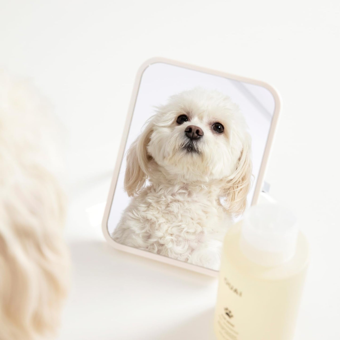 OUAI Fur Bébé Pet Shampoo, Mercer Street Scent - Dog Shampoo and Coat Wash for Hydrating, Cleansing and Adding Shine - Pet Supplies by OUAI (16 Fl Oz) - Maple Wellness Supplements