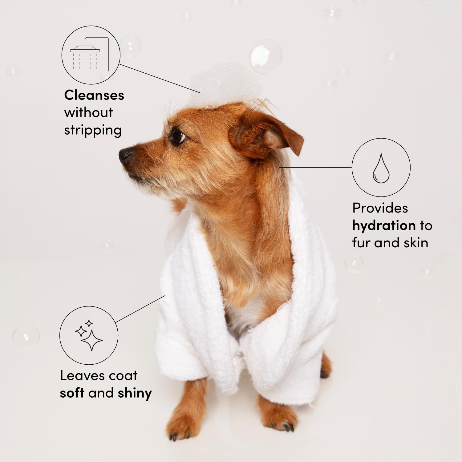 OUAI Fur Bébé Pet Shampoo, Mercer Street Scent - Dog Shampoo and Coat Wash for Hydrating, Cleansing and Adding Shine - Pet Supplies by OUAI (16 Fl Oz) - Maple Wellness Supplements