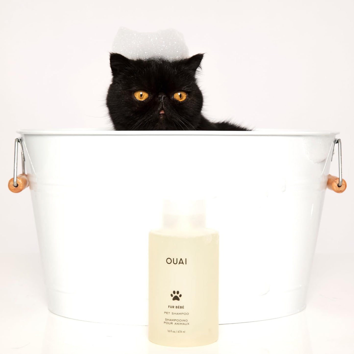 OUAI Fur Bébé Pet Shampoo, Mercer Street Scent - Dog Shampoo and Coat Wash for Hydrating, Cleansing and Adding Shine - Pet Supplies by OUAI (16 Fl Oz) - Maple Wellness Supplements