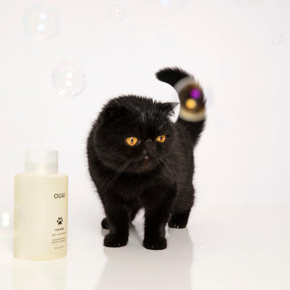 OUAI Fur Bébé Pet Shampoo, Mercer Street Scent - Dog Shampoo and Coat Wash for Hydrating, Cleansing and Adding Shine - Pet Supplies by OUAI (16 Fl Oz) - Maple Wellness Supplements