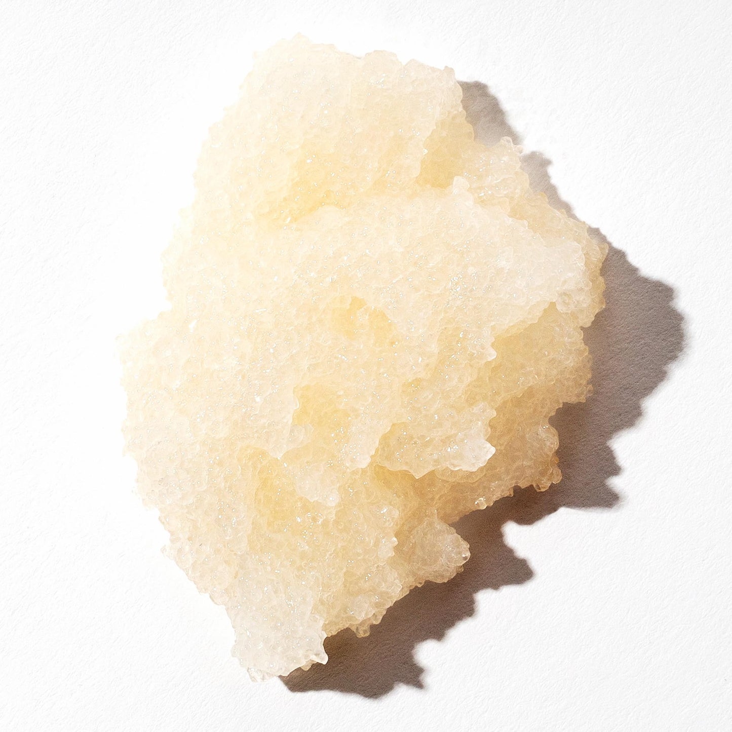 OUAI Scalp & Body Scrub Travel Size, Melrose Place - Exfoliating Body Scrub with Sugar & Coconut Oil Blend for Smooth, Moisturized Skin - Gentle for Removing Product Build Up (3.4 Oz) - Maple Wellness Supplements