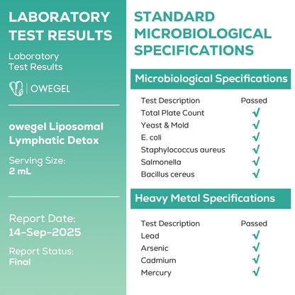 owegel Liposomal Lymphatic Drainage Drops 2000mg – Immune & Lymph System Support – Lymphatic Detox and Cleanse with Echinacea, Red Clover, Dandelion & Cleavers – Sugar-Free, Alcohol-Free – 2 FL OZ - Maple Wellness Supplements