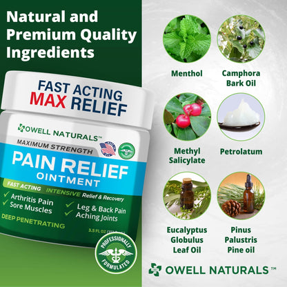 OWELL NATURALS Arthritis Pain Relief Ointment with Arnica & MSM – Deep Penetrating Joint & Muscle Therapy for Knee, Back, Sore Muscles, Legs, 3.5 oz (2 Pack) - Maple Wellness Supplements