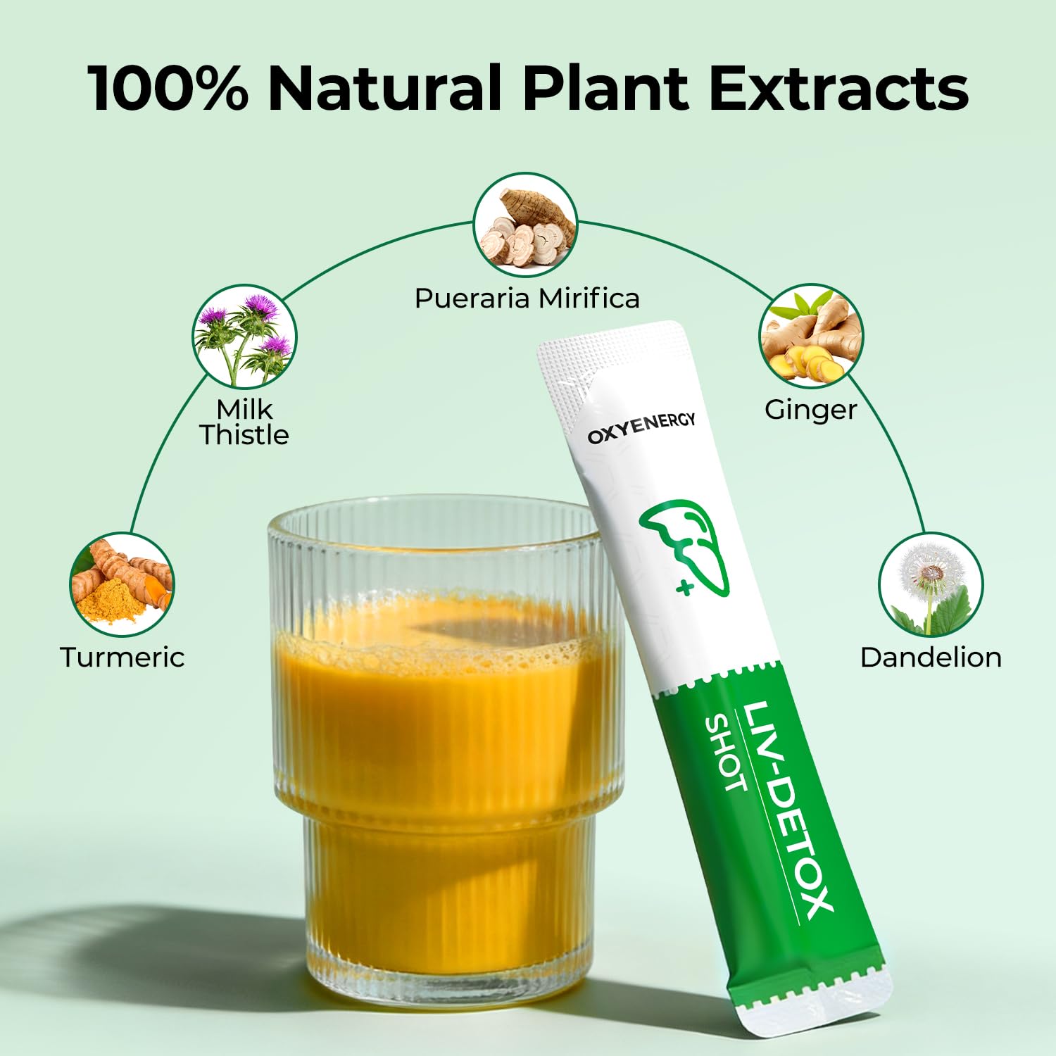 OxyEnergy Liver Cleanse Detox & Repair, Organic Milk Thistle Liver Detox Supplement with Turmeric, Giner, Dandelion, Support Liver Health & Digestion, - Maple Wellness Supplements