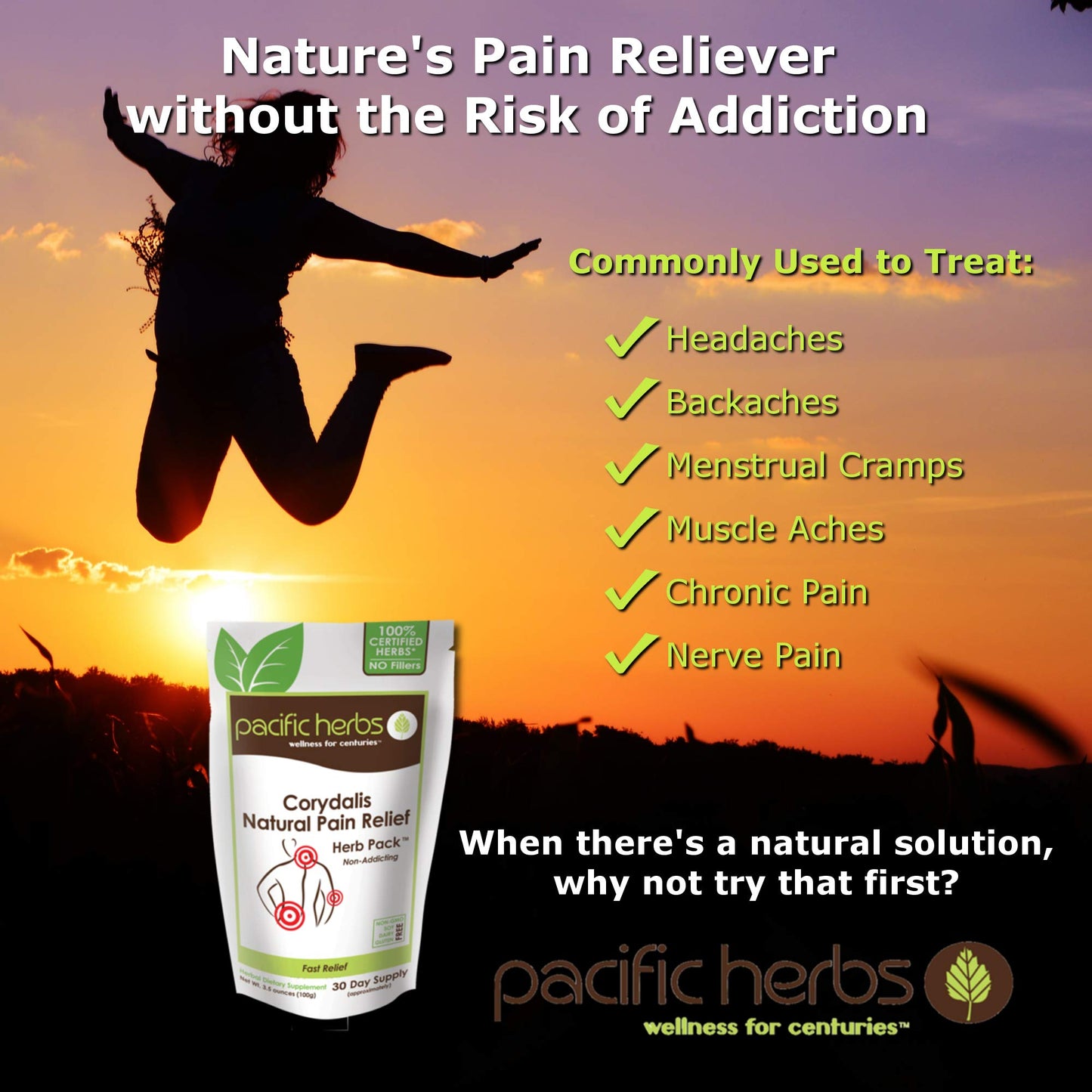 Pacific Herbs Corydalis Natural Pain Relief Herbs - Maple Wellness Supplements