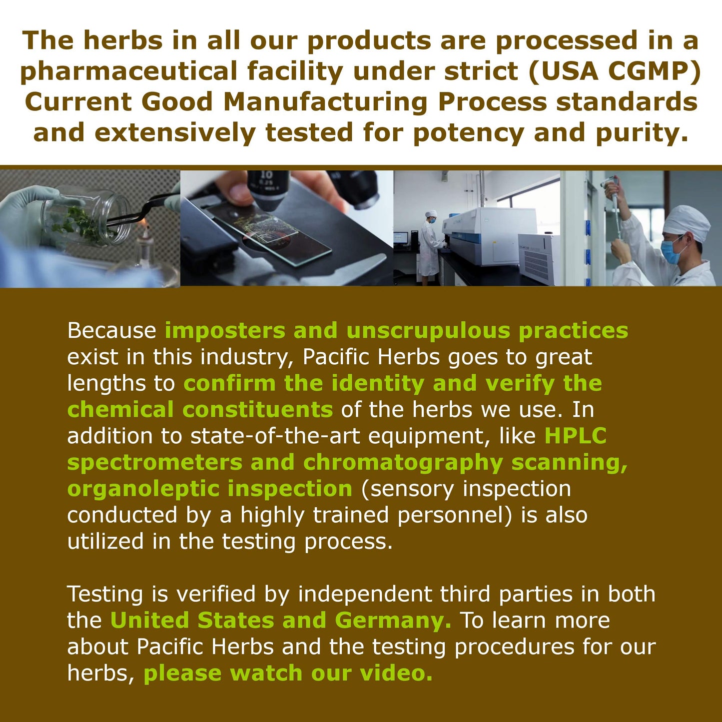 Pacific Herbs Natural PMS Relief Herb Extract - Maple Wellness Supplements