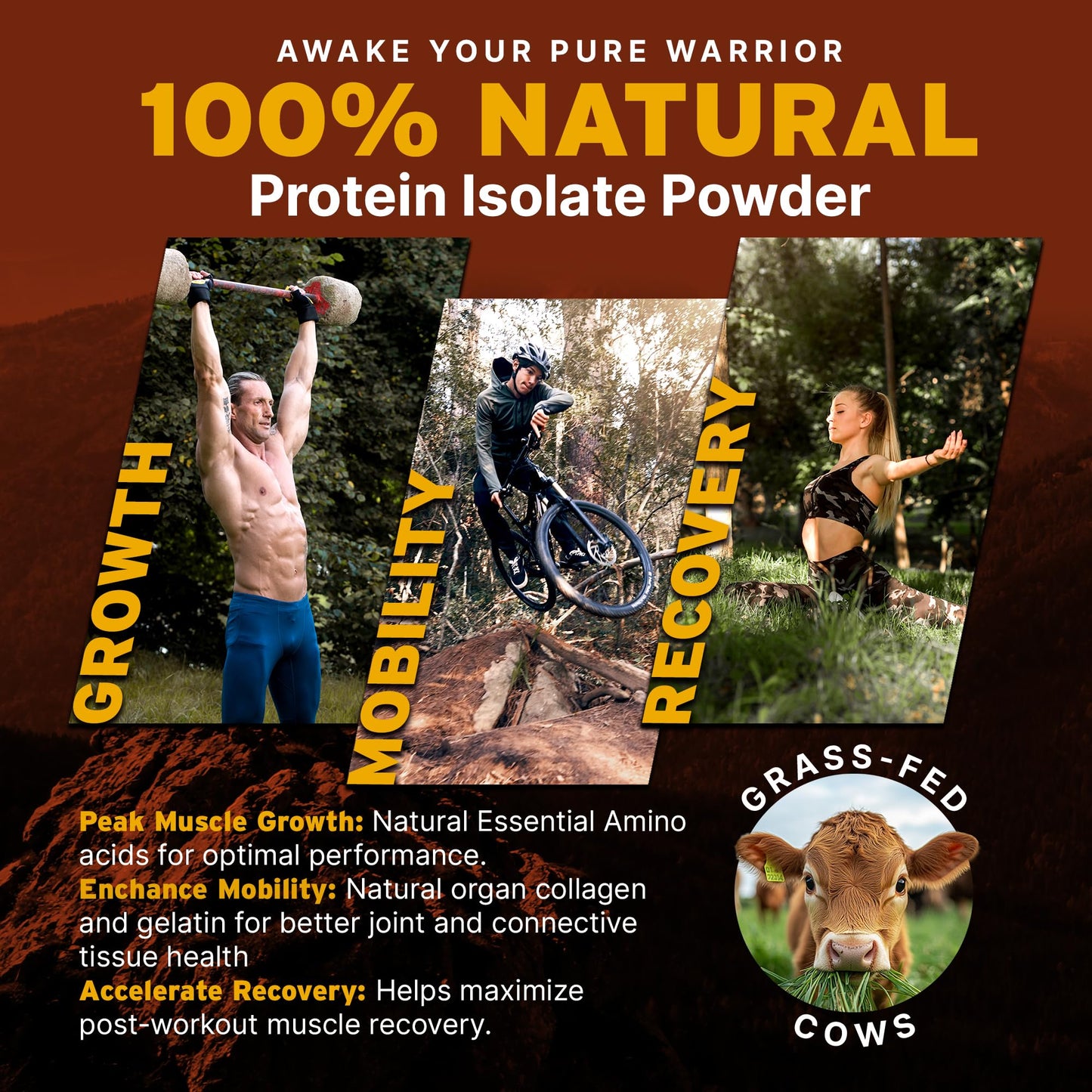 Paleo Pro 26G Beef Protein Powder - Grass Fed Protein Powder Isolate - Pure Animal Based Pastured & Cage-Free | Dairy & Gluten Free, Natural & Clean Proteins for Paleo & Keto - 15 Days Supply Vanilla - Maple Wellness Supplements