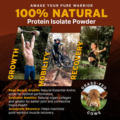 Paleo Pro 26G Beef Protein Powder - Grass Fed Protein Powder Isolate - Pure Animal Based Pastured & Cage-Free | Dairy & Gluten Free, Natural & Clean Proteins for Paleo & Keto - 15 Days Supply Vanilla - Maple Wellness Supplements