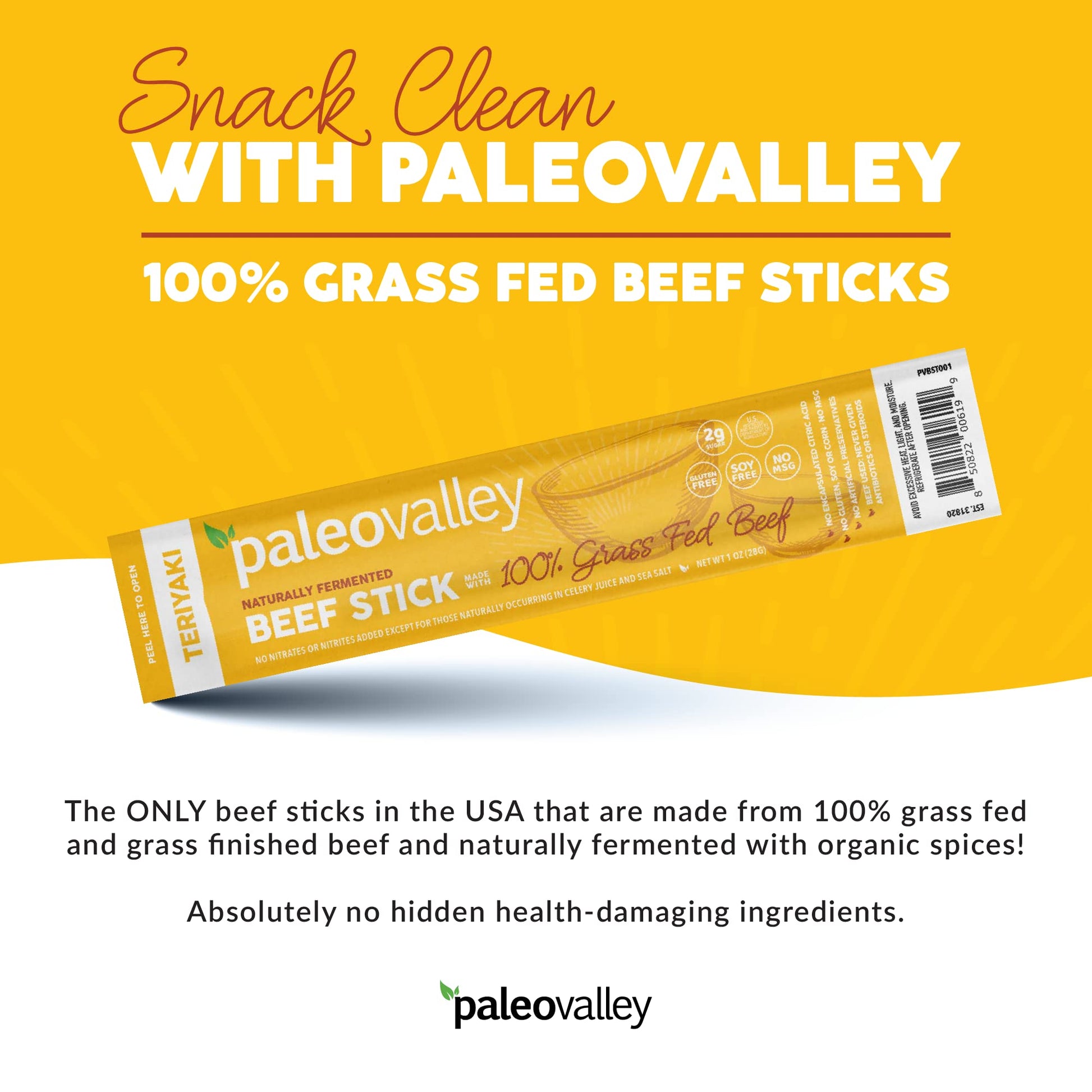 Paleovalley 100% Grass Fed Teriyaki Beef Sticks - Delicious Gluten Free Beef Snack - High Protein Keto Friendly - Maple Wellness Supplements