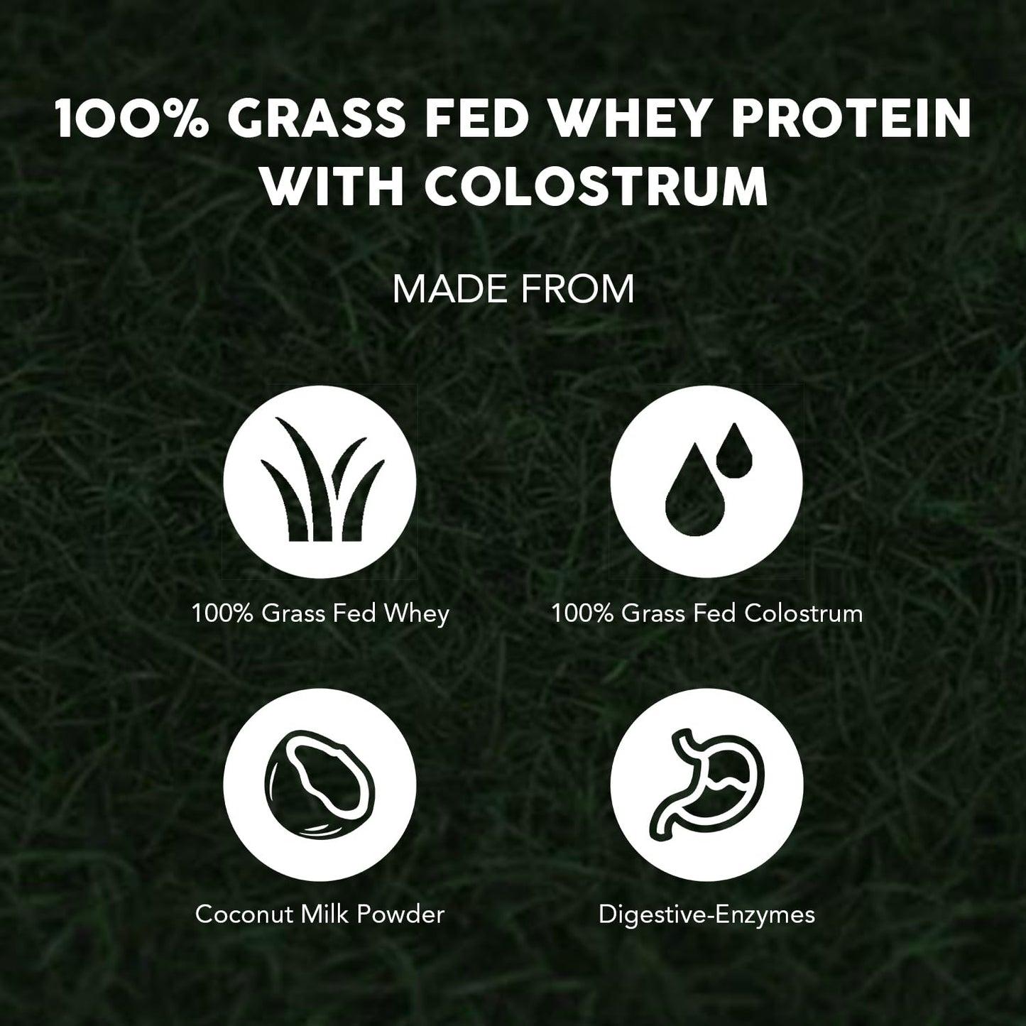 Paleovalley 100% Grassfed Whey Protein Powder with Colostrum, 30 Serving - Vanilla, 13g Protein, Muscle Building, Immune Support, Gut Health - Maple Wellness Supplements