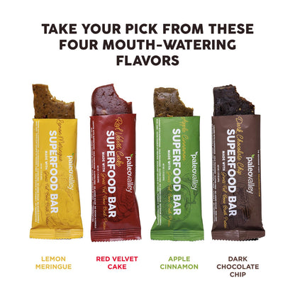 Paleovalley Superfood Bars – Dark Chocolate Chip– 10 Pack – 9g Protein per Bar – Gluten-Free, Grain-Free, Paleo, Non-GMO – On-the-Go Snack - Maple Wellness Supplements