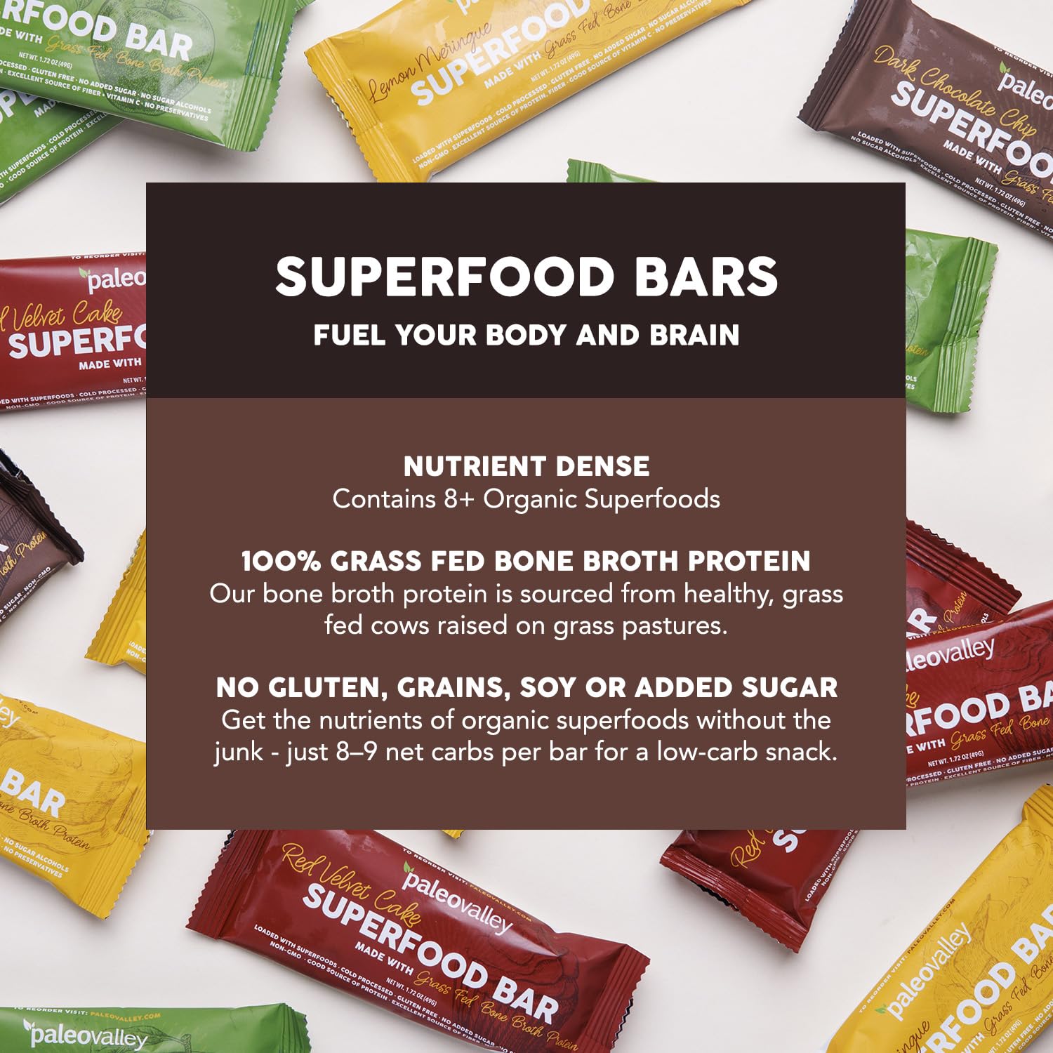 Paleovalley Superfood Bars – Dark Chocolate Chip– 10 Pack – 9g Protein per Bar – Gluten-Free, Grain-Free, Paleo, Non-GMO – On-the-Go Snack - Maple Wellness Supplements