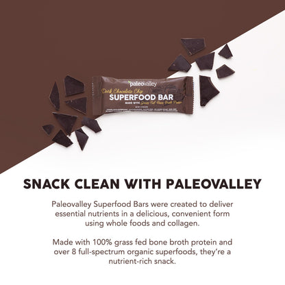 Paleovalley Superfood Bars – Dark Chocolate Chip– 10 Pack – 9g Protein per Bar – Gluten-Free, Grain-Free, Paleo, Non-GMO – On-the-Go Snack - Maple Wellness Supplements