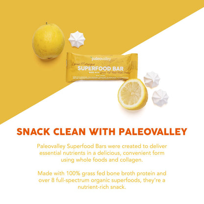 Paleovalley Superfood Bars – Lemon Meringue– 10 Pack – 9g Protein per Bar – Gluten-Free, Grain-Free, Paleo, Non-GMO – On-the-Go Snack - Maple Wellness Supplements