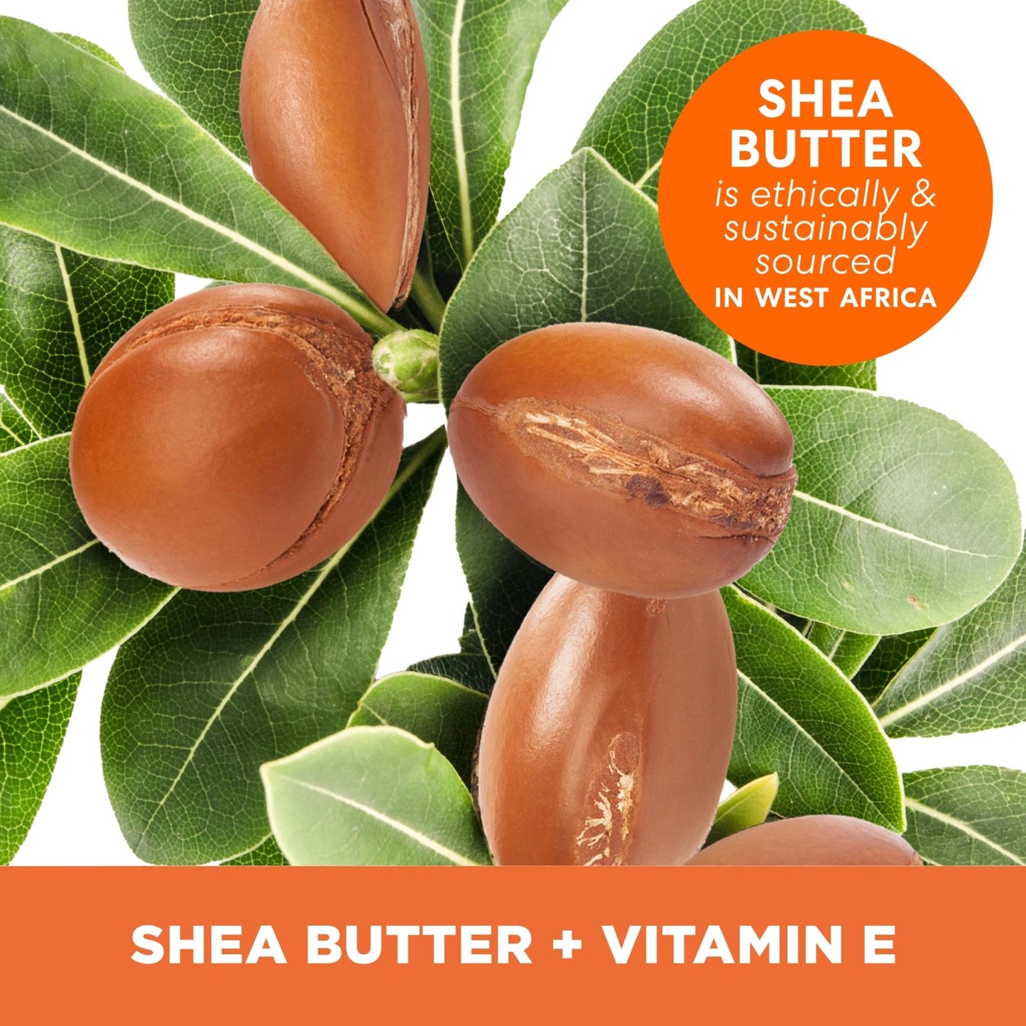 Palmer's Shea Butter Formula Raw African Shea Butter Balm, Nourishing Body Moisturizer - Maple Wellness Supplements