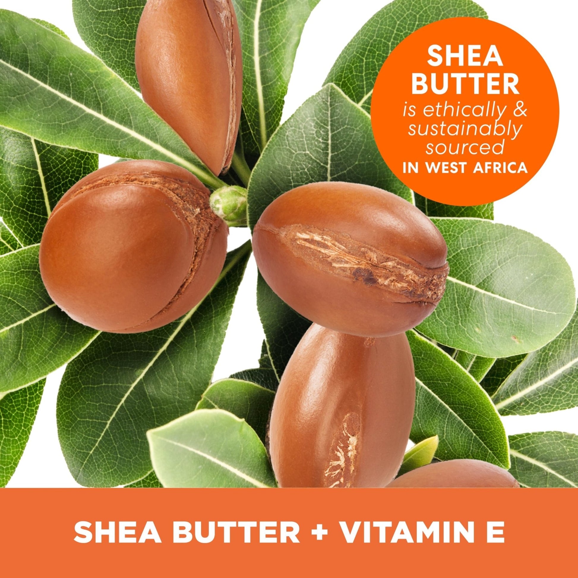Palmer's Shea Butter Formula Raw African Shea Butter Balm, Nourishing Body Moisturizer - Maple Wellness Supplements