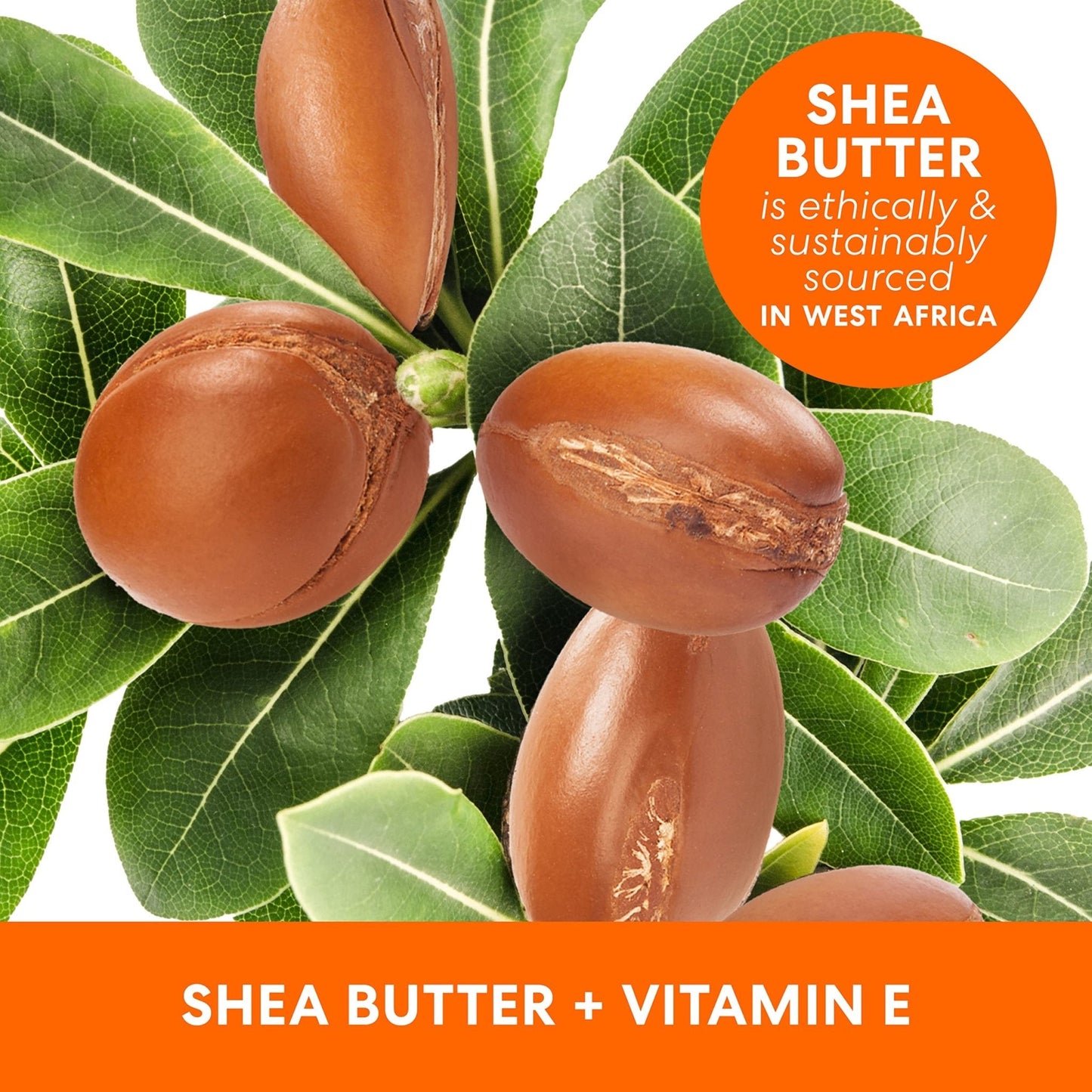 Palmer's Shea Formula Raw Shea Body Oil with Vitamin E, Deep Body Moisturizer to Soothe - Maple Wellness Supplements