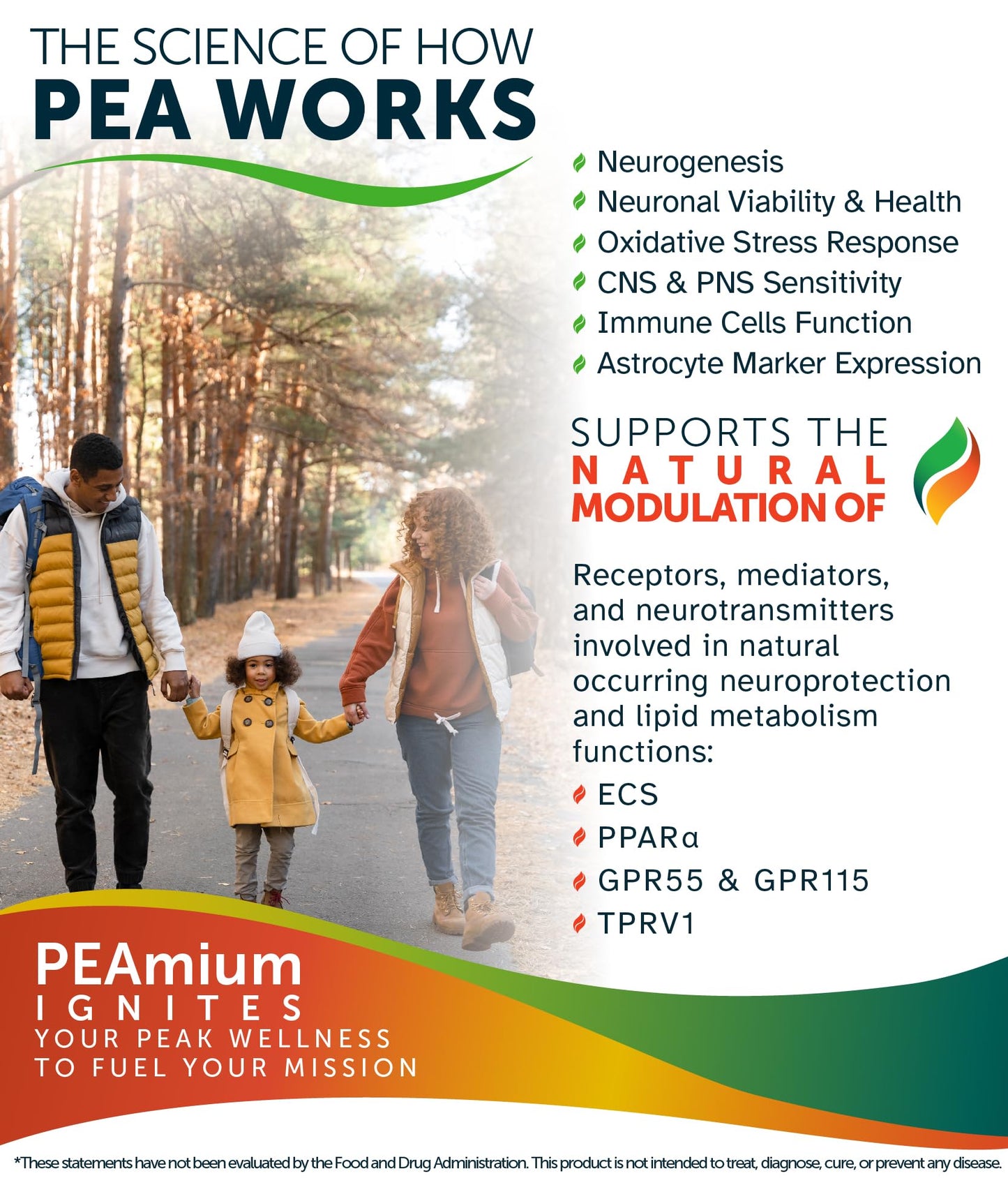 Palmitoylethanolamide 450mg Comfort Mobility Nerves Cognitive & Immune Support - Micronized High Absorption - All Natural Pea - USA Made - No Additives or Excipients – 60 Vegan Capsules Supplement - Maple Wellness Supplements