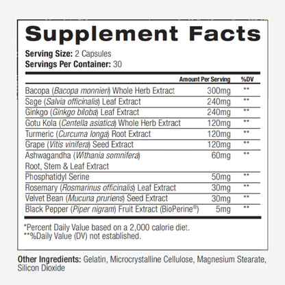 PALO Focus Brain Booster Natural Supplement Nootropic for Memory, Focus, Learning, Reall, Attention and Cognition - Ginkgo Biloba, Bacopa, Gotu Kola, Ashwagandha, Mucuna 60 Capsules - Maple Wellness Supplements