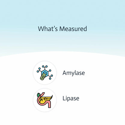 Pancreatic Function Test | 2-in-1 at-Home Test | Amylase | Lipase | Cap & CLIA Accredited Testing | Not Testable in NY & RI - Maple Wellness Supplements