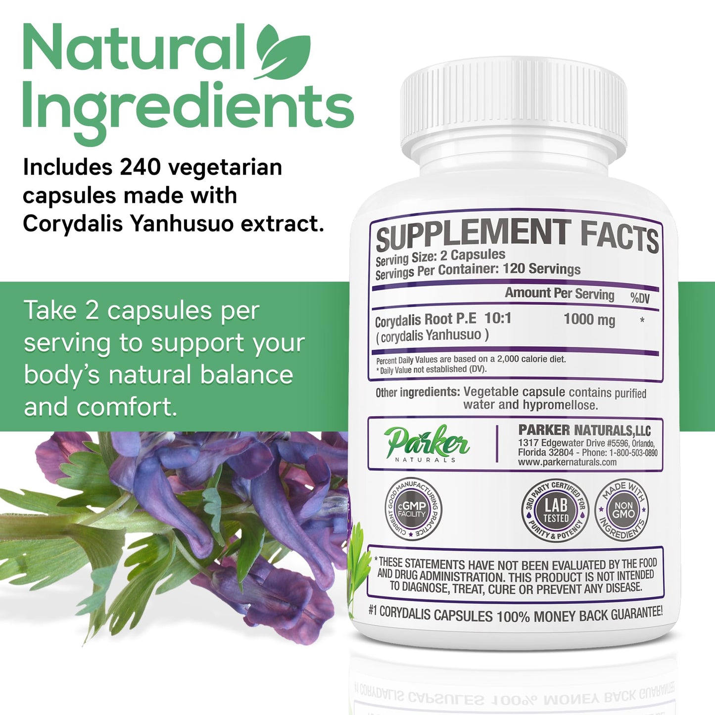 Parker Naturals Pure Corydalis Root Extract Capsule - 1000mg Strength, 10:1 Corydalis Yanhusuo Extract, Natural Relief, Long Lasting, 100% Vegetarian, 120 Servings, 240 Count - Maple Wellness Supplements
