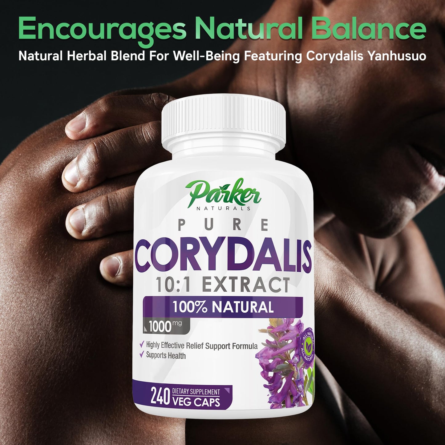 Parker Naturals Pure Corydalis Root Extract Capsule - 1000mg Strength, 10:1 Corydalis Yanhusuo Extract, Natural Relief, Long Lasting, 100% Vegetarian, 120 Servings, 240 Count - Maple Wellness Supplements