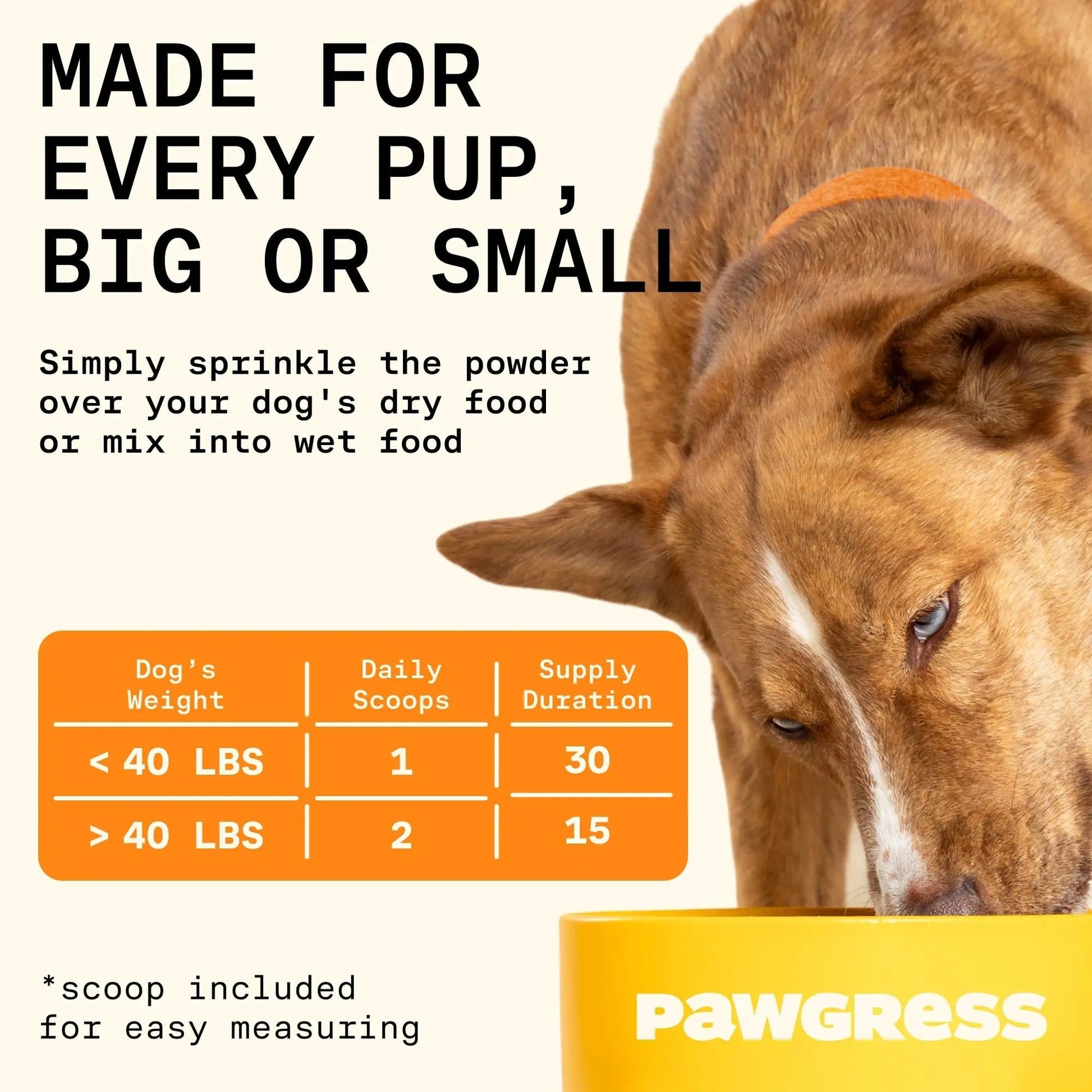 Pawgress 5-in-1 Dog Probiotic Powder – 100% Natural Gut Health Support with Prebiotics, Postbiotics & Enzymes - Made in USA – 30 Scoops - Maple Wellness Supplements
