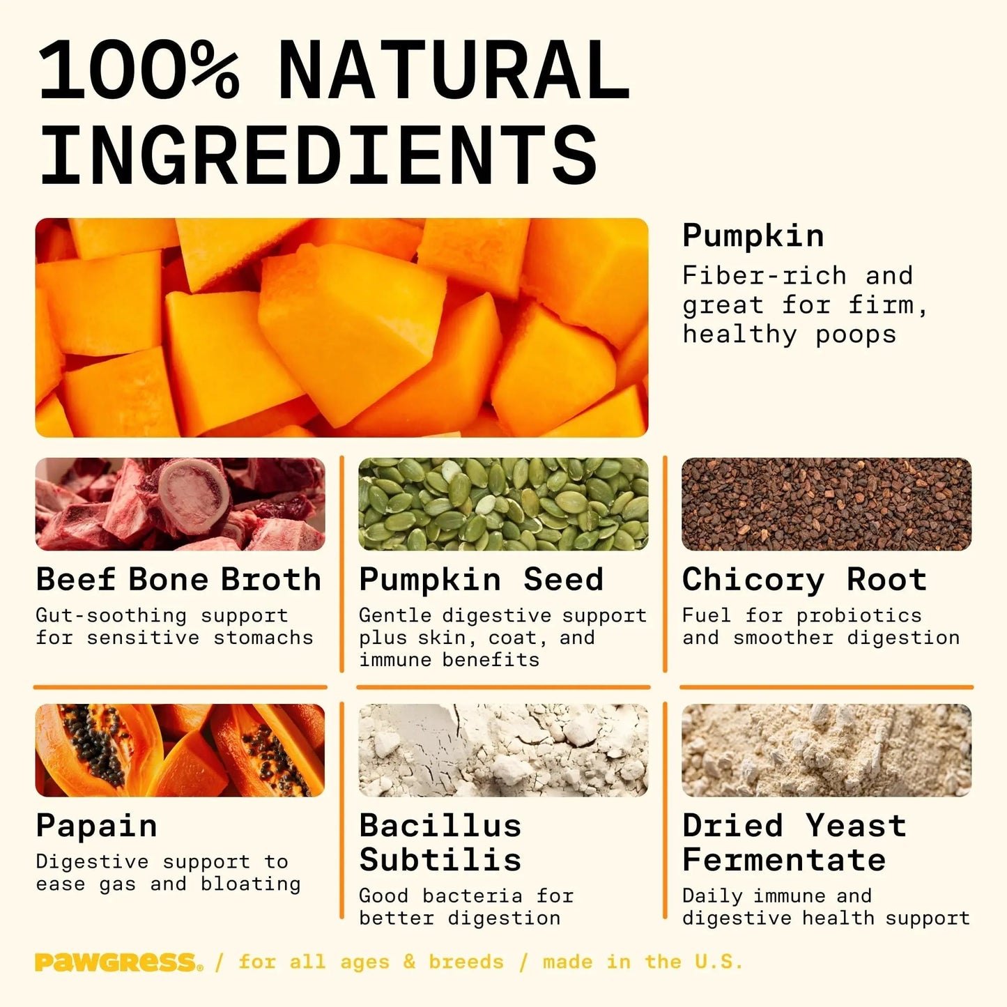 Pawgress 5-in-1 Dog Probiotic Powder – 100% Natural Gut Health Support with Prebiotics, Postbiotics & Enzymes - Made in USA – 30 Scoops - Maple Wellness Supplements