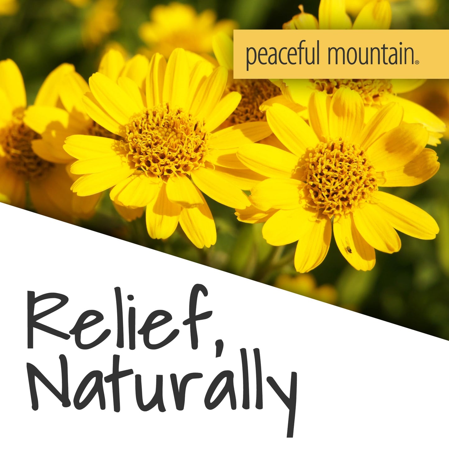 Peaceful Mountain Arnica Plus Homeopathic Gel - Natural Homeopthic Gel for Sore or cramping Muscles - 2oz - Maple Wellness Supplements