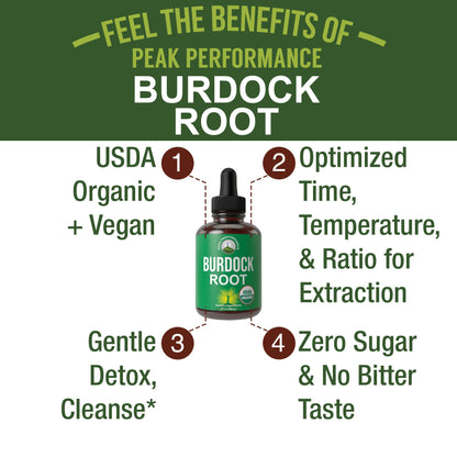 Peak Performance USDA Organic Burdock Root Liquid Drops Supplement. Vegan Extract Tincture for Women and Men. Organic Burdock Root Oil Herb. Zero Sugar, Gluten Free Supplements - Maple Wellness Supplements