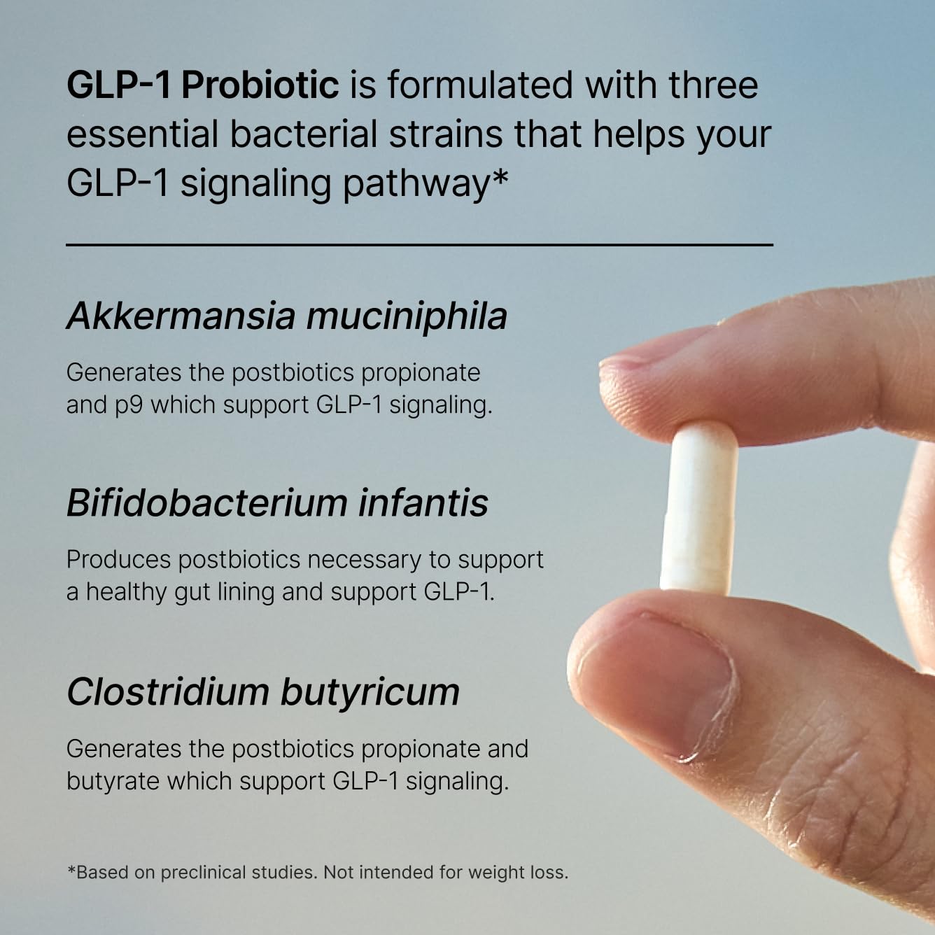 Pendulum GLP-1 Probiotic – Supports Appetite Control and Craving Management, Naturally | Improves Regularity & Gut Health with Akkermansia & Other Strains (30 Capsules) - Maple Wellness Supplements