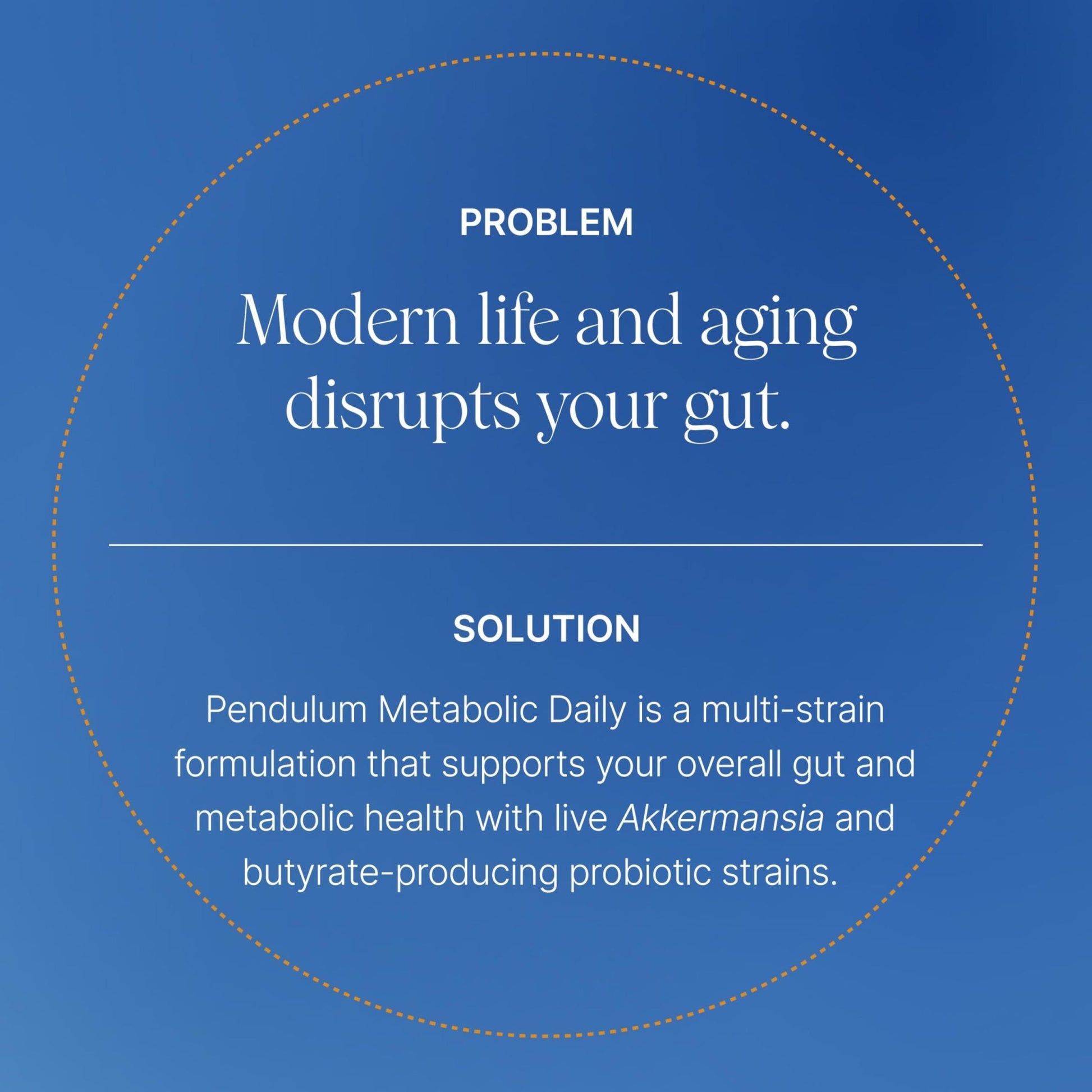 Pendulum Metabolic Daily - Multi-Strain Probiotic with Akkermansia muciniphila to Support Metabolism and Sustain Energy Levels - Maple Wellness Supplements
