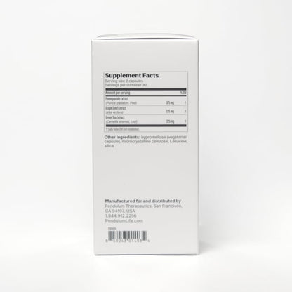Pendulum Polyphenol Booster, Antioxidant from Superfoods, Beneficial Plant Compounds for Good Health, Helps Boost Akkermansia Muciniphila for Men & Women (60 Capsules, 1-Pack) - Maple Wellness Supplements