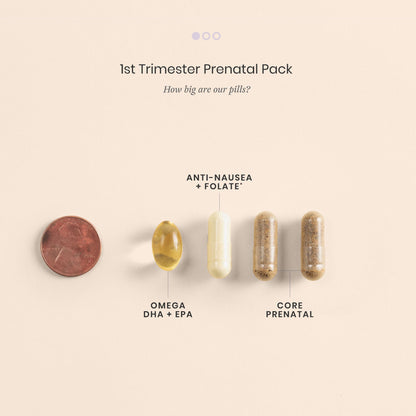 Perelel 1st Trimester Prenatal Pack, Multivitamin with Folate, Vitamin D, Omega 3, Iron & Ginger, Nutritional Support for Early Pregnancy - Maple Wellness Supplements