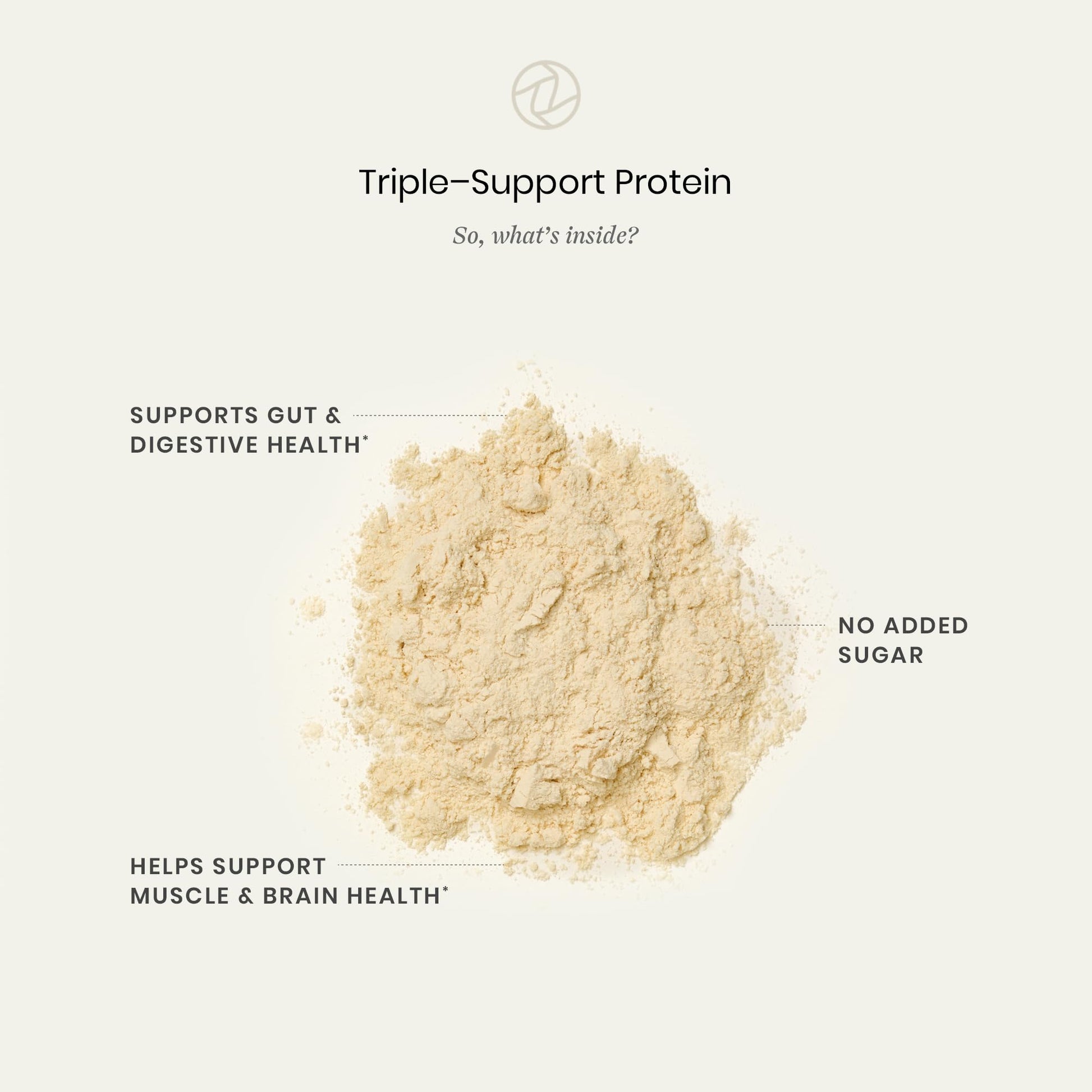 Perelel Triple-Support Plant Based Protein Powder, Creamy Vanilla, 20g Vegan Protein Powder, 3g Creatine Monohydrate, & 5g Prebiotic Fiber per Serving, Dairy Free, - Maple Wellness Supplements