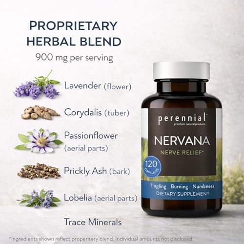 Perennial Nervana – Herbal Nerve Support for Tingling, Burning & Numbness Relief – Promotes Calm Focus & Stress Resilience – Non-Drowsy Mood Balance – 120ct* - Maple Wellness Supplements