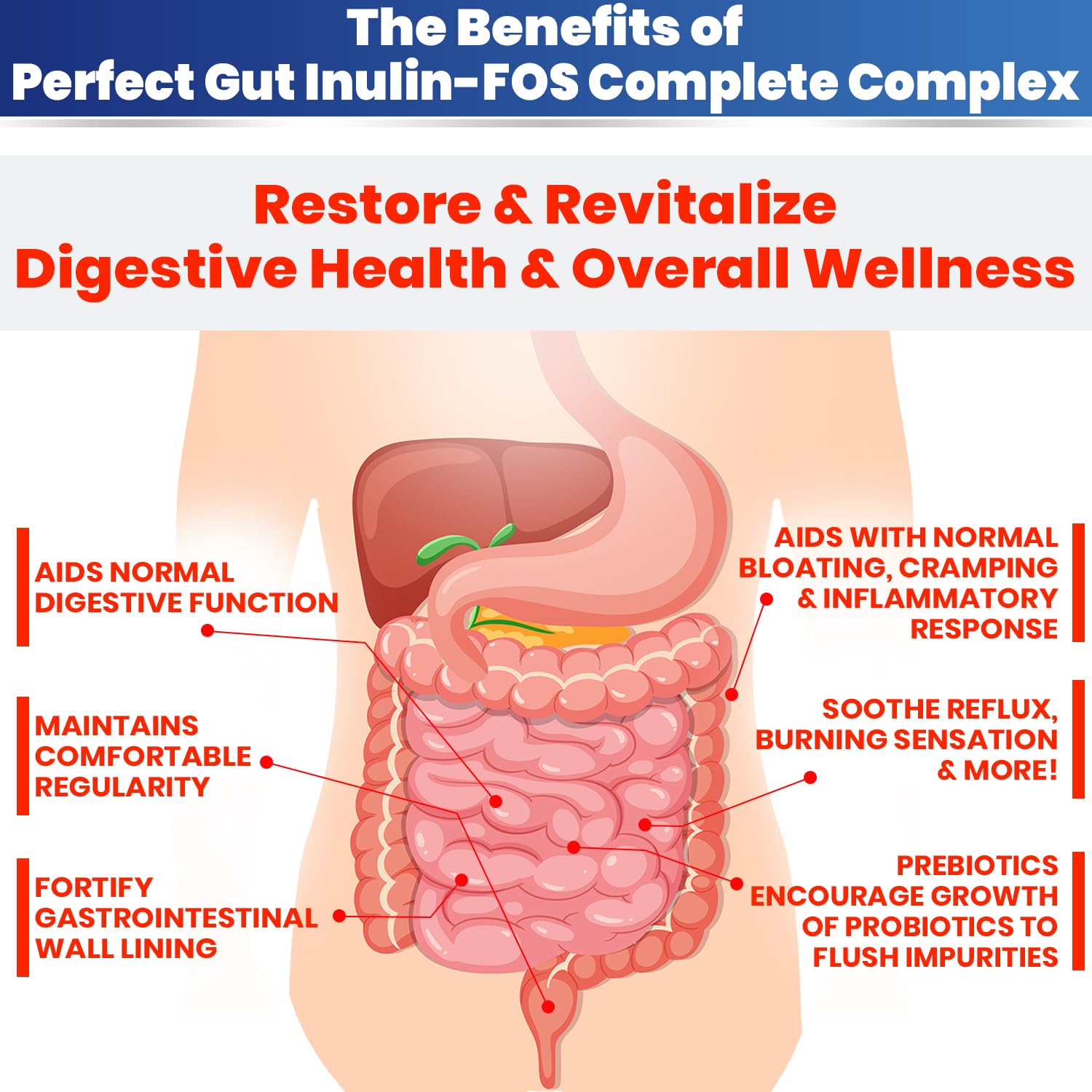 Perfect Gut: Inulin FOS Powder for Gut Health. Prebiotic Inulin. Unique Prebiotic 95% FOS Inulin Agave Fiber - Maple Wellness Supplements