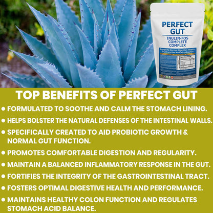 Perfect Gut: Inulin FOS Powder for Gut Health. Prebiotic Inulin. Unique Prebiotic 95% FOS Inulin Agave Fiber - Maple Wellness Supplements