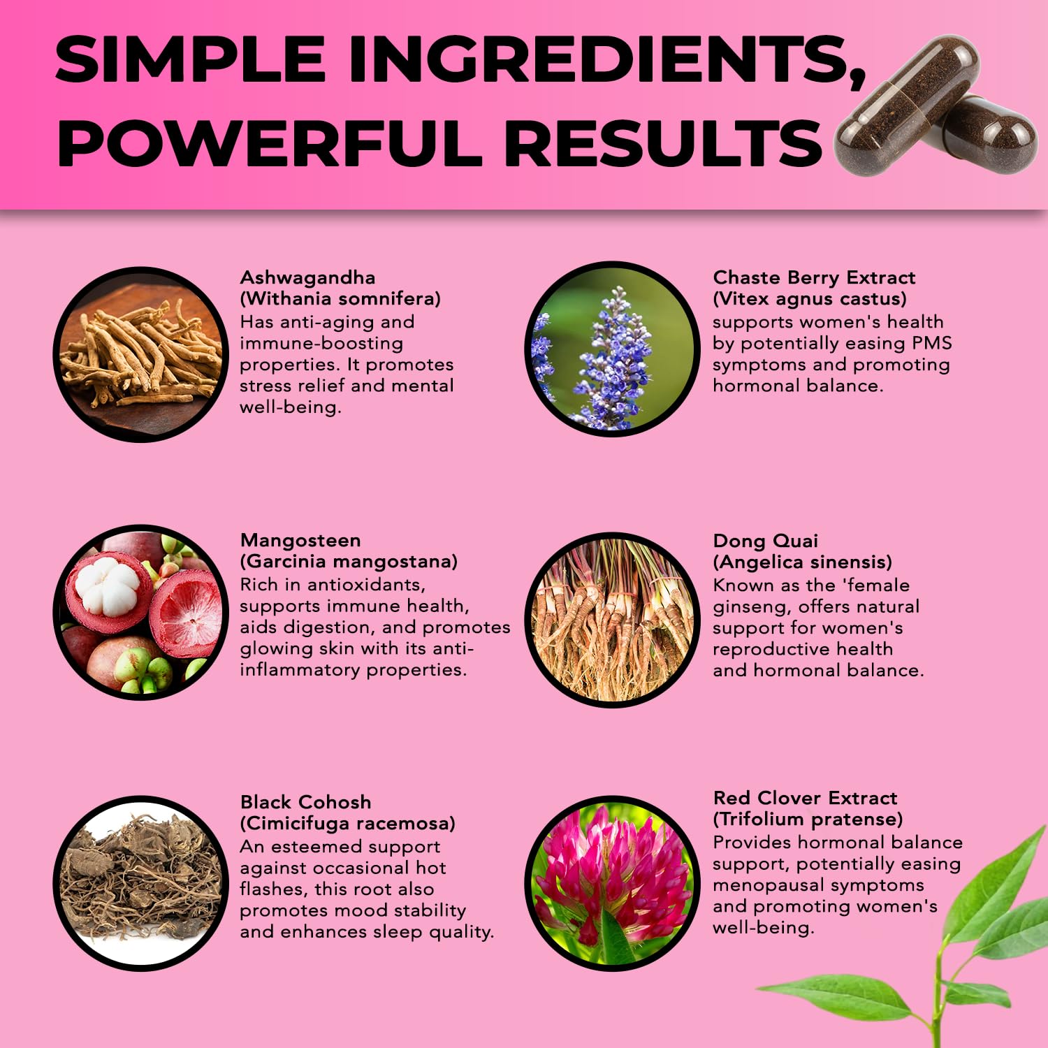 Perimenopause & Menopause Support Supplement for Women – Multi‑Symptom Relief with Black Cohosh & Red Clover Isoflavones | Ashwagandha Adaptogen & Herbal Blend | Hormone Balance Support | 120 Capsules - Maple Wellness Supplements