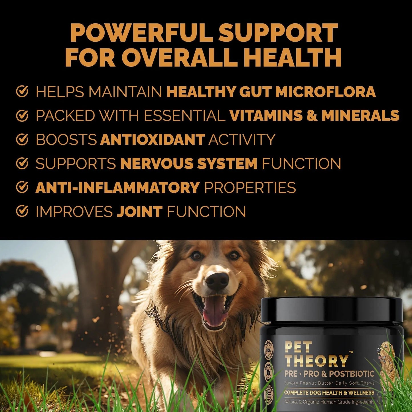 Pet Theory Probiotics for Dogs. Dog Digestive Health-Pre Pro and Postbiotic Combination-Pet Supplements for Gut Health-Supports Digestion, Boost Immunity-100CT Soft Chews - Maple Wellness Supplements