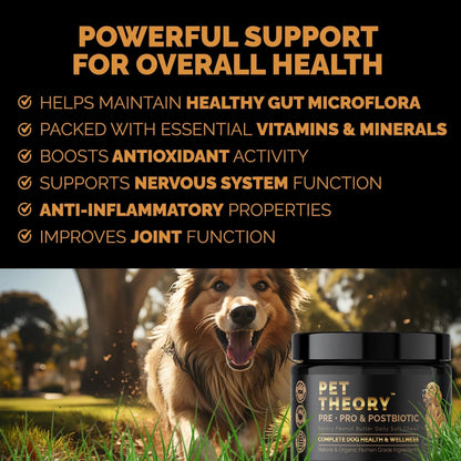 Pet Theory Probiotics for Dogs. Dog Digestive Health-Pre Pro and Postbiotic Combination-Pet Supplements for Gut Health-Supports Digestion, Boost Immunity-100CT Soft Chews - Maple Wellness Supplements