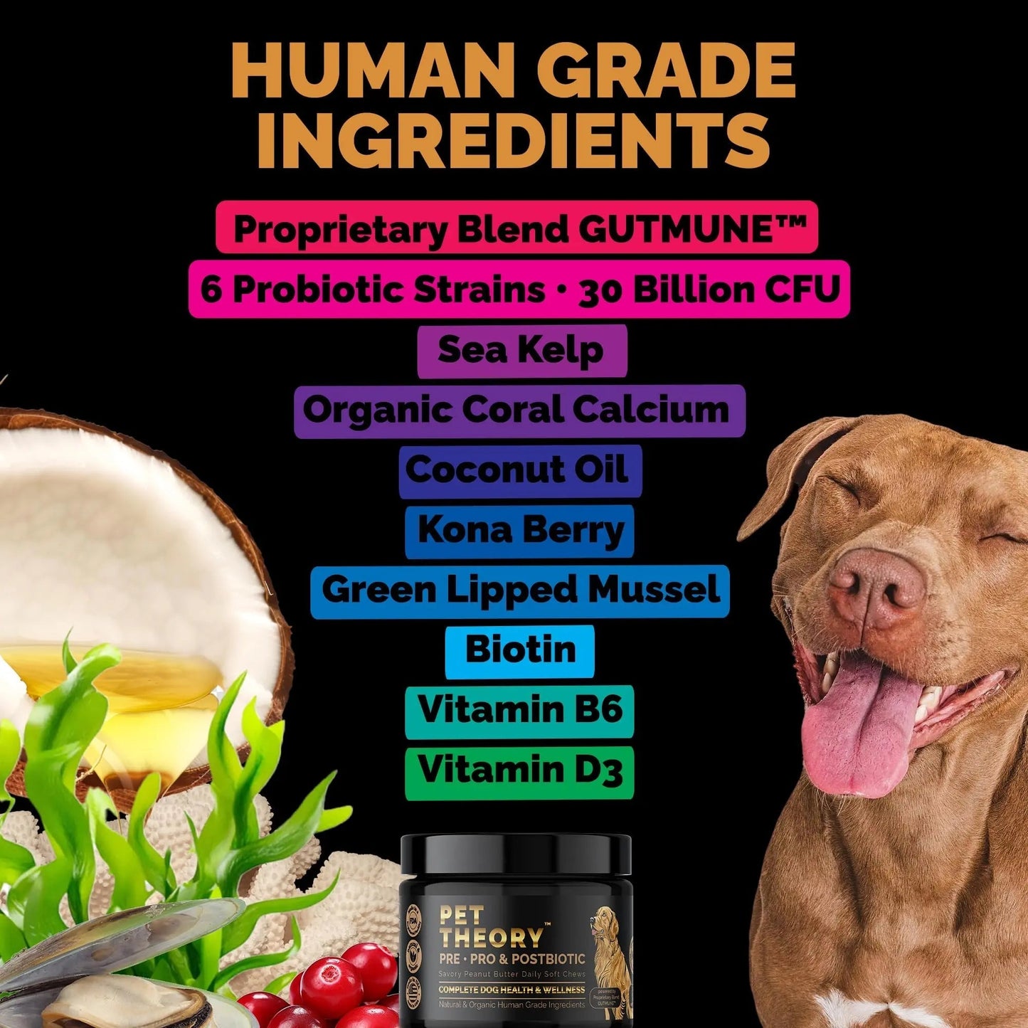 Pet Theory Probiotics for Dogs. Dog Digestive Health-Pre Pro and Postbiotic Combination-Pet Supplements for Gut Health-Supports Digestion, Boost Immunity-100CT Soft Chews - Maple Wellness Supplements