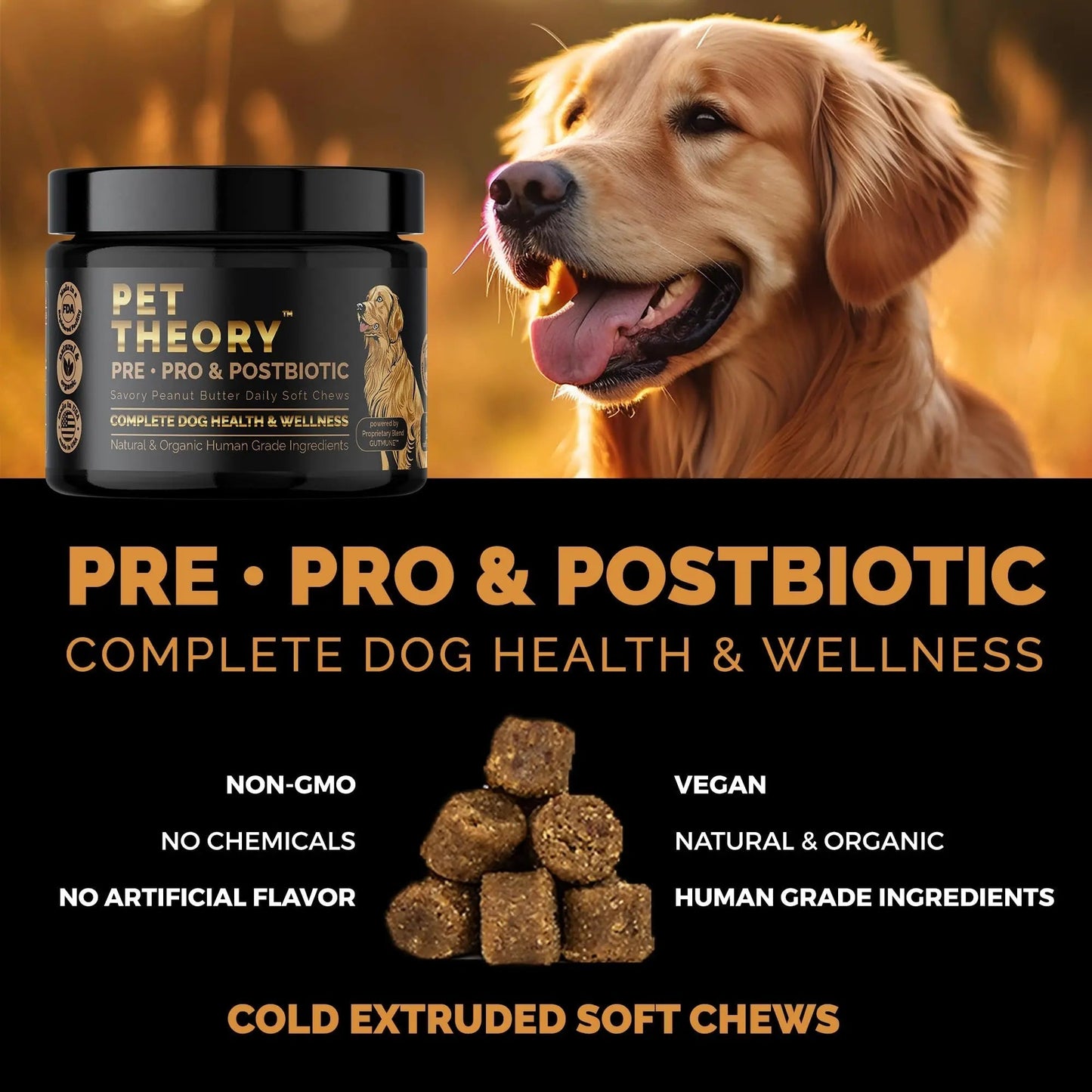 Pet Theory Probiotics for Dogs. Dog Digestive Health-Pre Pro and Postbiotic Combination-Pet Supplements for Gut Health-Supports Digestion, Boost Immunity-100CT Soft Chews - Maple Wellness Supplements
