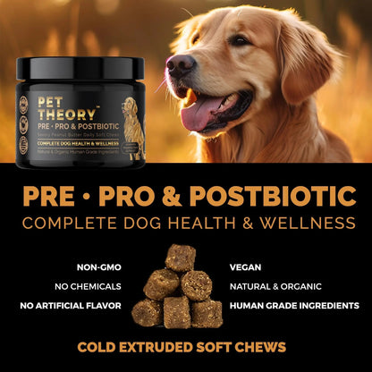 Pet Theory Probiotics for Dogs. Dog Digestive Health-Pre Pro and Postbiotic Combination-Pet Supplements for Gut Health-Supports Digestion, Boost Immunity-100CT Soft Chews - Maple Wellness Supplements