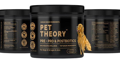 Pet Theory Probiotics for Dogs. Dog Digestive Health-Pre Pro and Postbiotic Combination-Pet Supplements for Gut Health-Supports Digestion, Boost Immunity-100CT Soft Chews - Maple Wellness Supplements