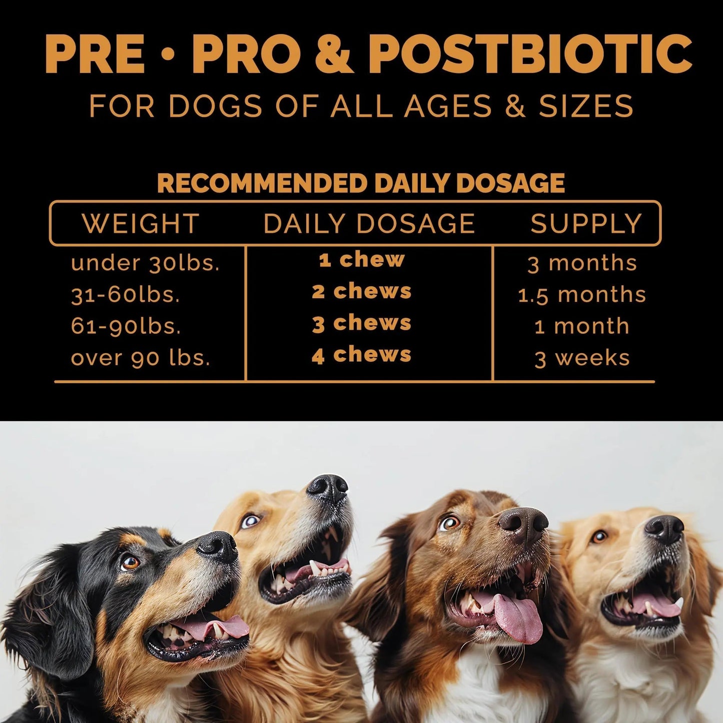 Pet Theory Probiotics for Dogs. Dog Digestive Health-Pre Pro and Postbiotic Combination-Pet Supplements for Gut Health-Supports Digestion, Boost Immunity-100CT Soft Chews - Maple Wellness Supplements